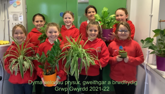 Grwp Gwyrdd 2021-2022